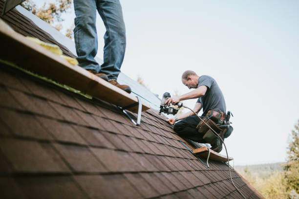 Roof Gutter Cleaning in Black Earth, WI